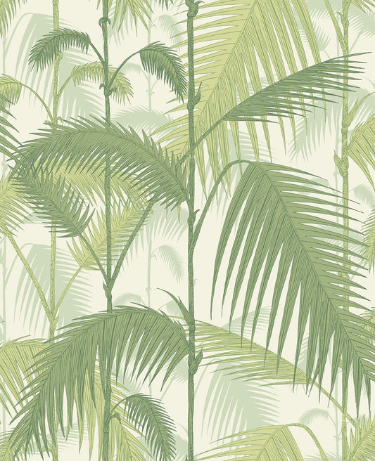 Palm Jungle