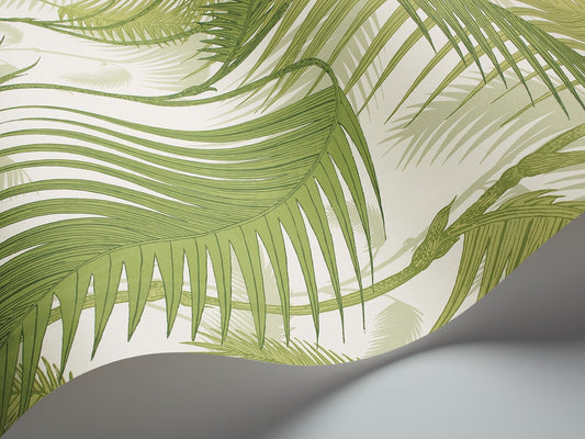 Palm Jungle
