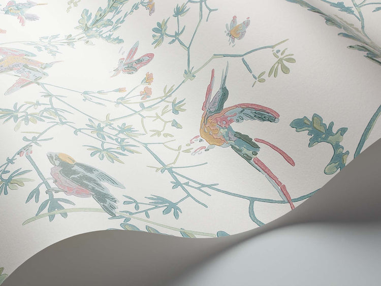 Hummingbirds