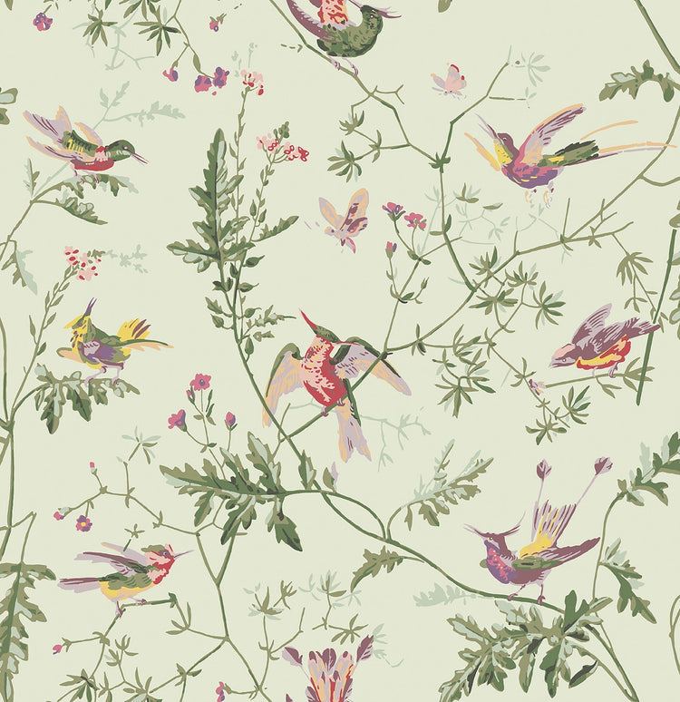 Hummingbirds