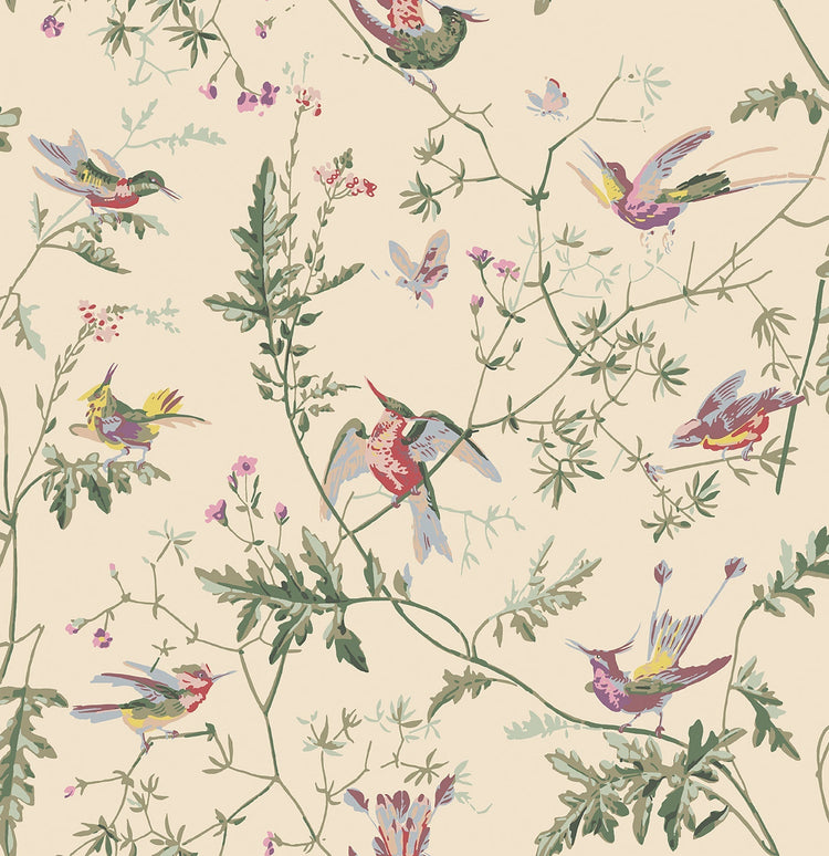 Hummingbirds