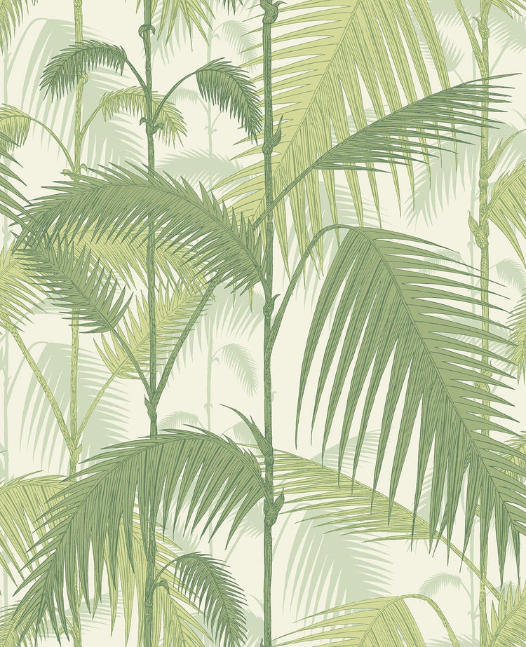 Palm Jungle